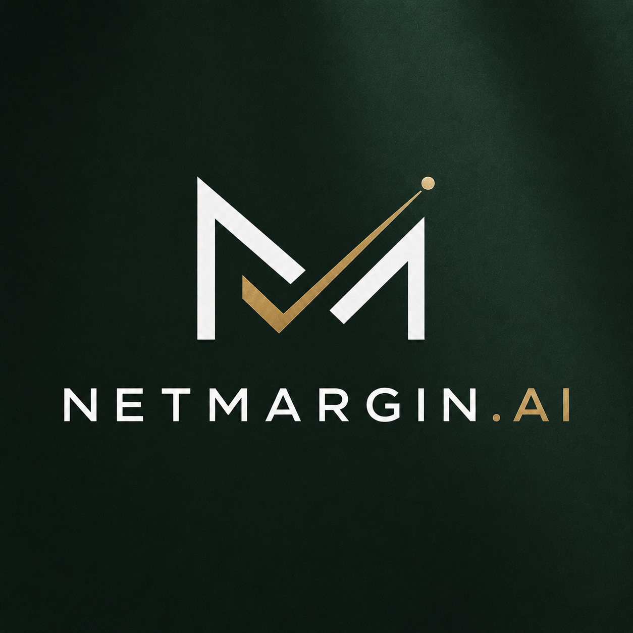 netmargin.ai